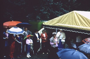 Sommerschau 1982